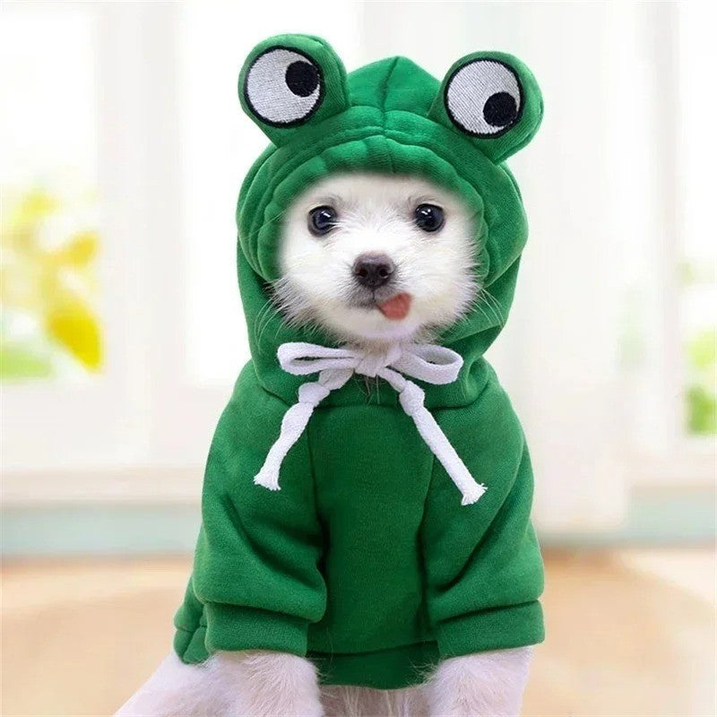 Image #3